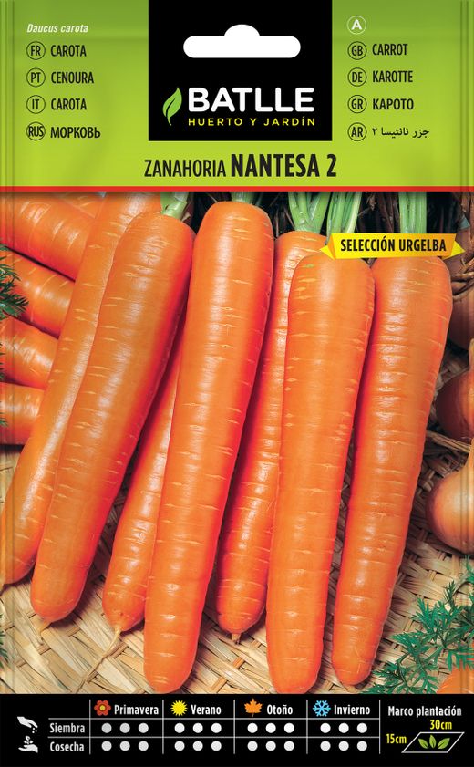 Semence horticole carotte nantaise 2 sel. urgelba, cenoura, daucus carota