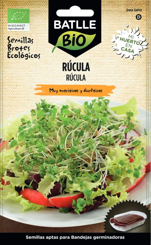 Graines de pousses de roquette bio