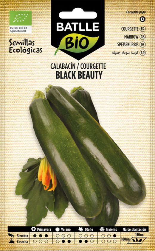 Graines de courgettes bio Black Beauty