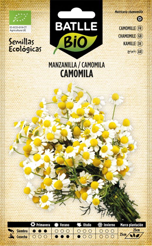 Semillas ecológicas de manzanilla