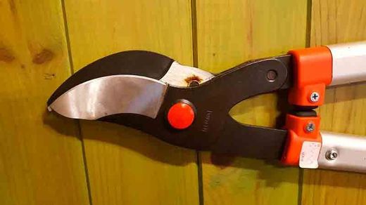 CISEAUX DE TAILLE À DEUX MAINS POUR BRANCHES DE 50 MM.