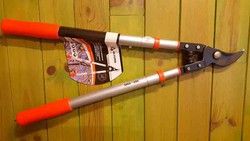 Ciseaux à deux mains avec manche télescopique