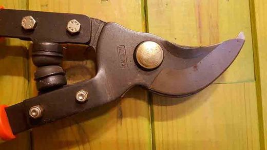 Ciseaux à deux mains avec manche télescopique