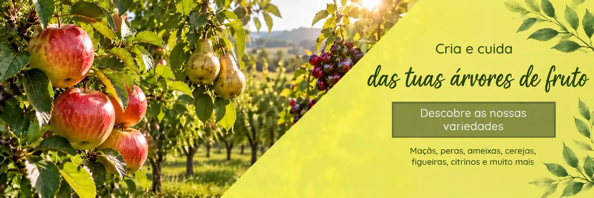 Árvores de fruto: macieiras, pereiras, ameixeiras, cerejeiras, figueiras e citrinos