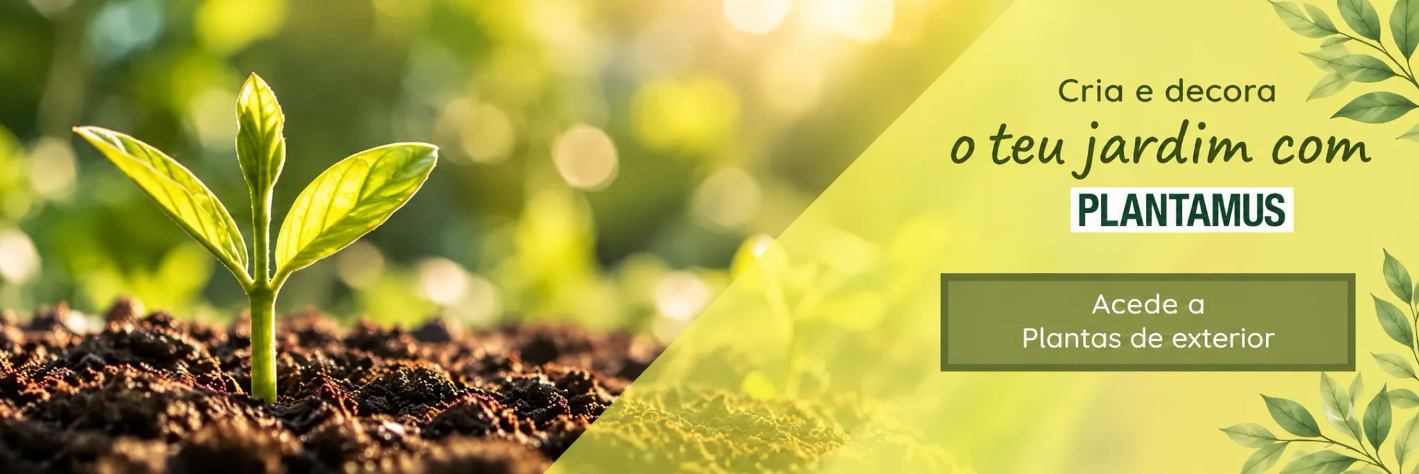 Plantas de exterior para criar e decorar o jardim na Plantamus