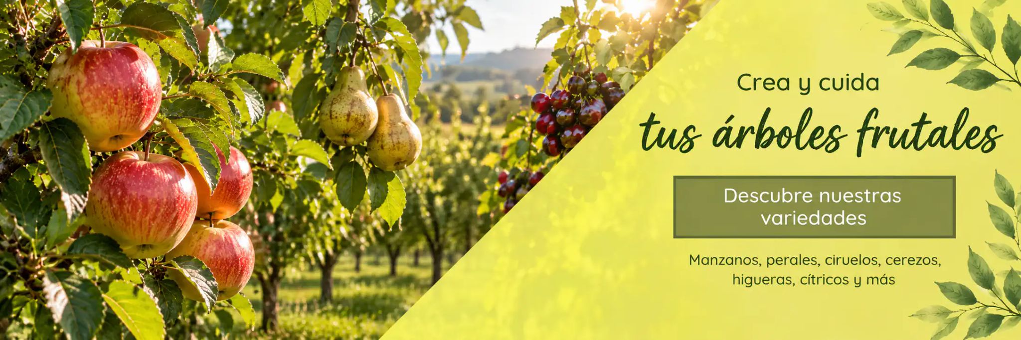 Árboles frutales: manzanos, perales, ciruelos, cerezos, higueras y cítricos