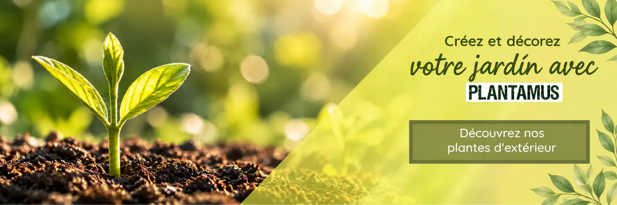 Plantes d'extérieur pour créer et aménager votre jardin avec Plantamus