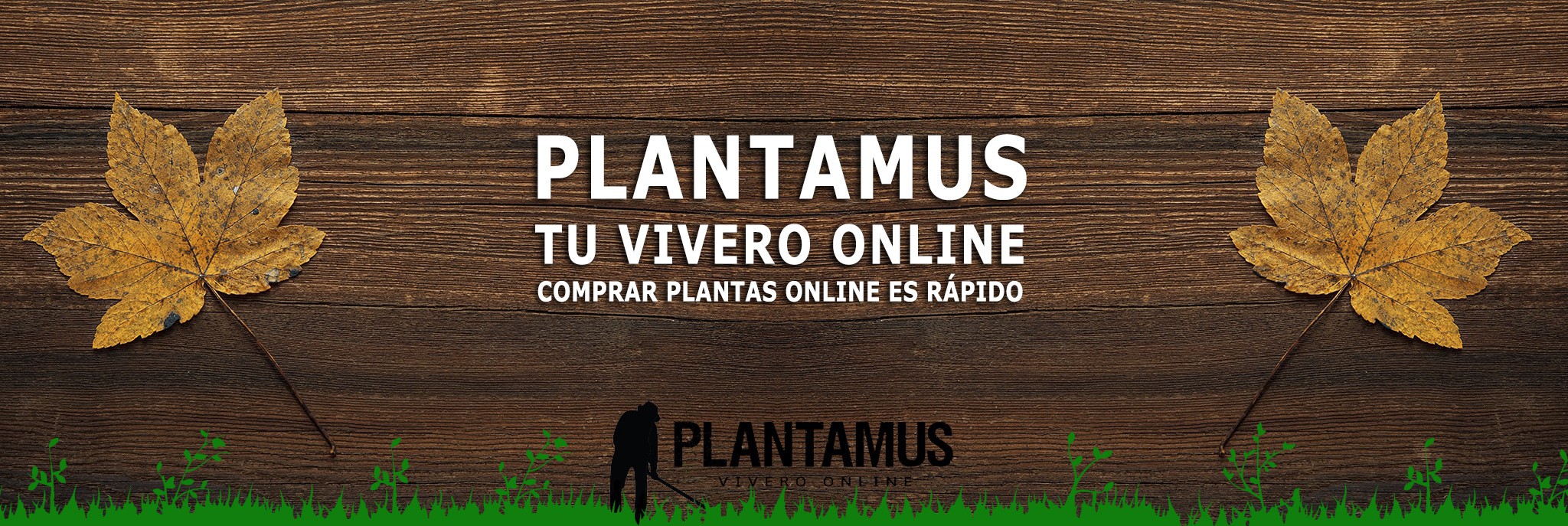 Hormona de enraizamiento en polvo — Plantamus Vivero online